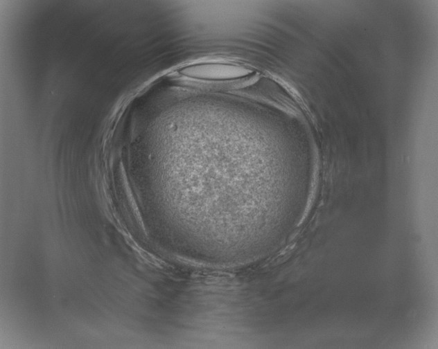 X0000068830337200605191904