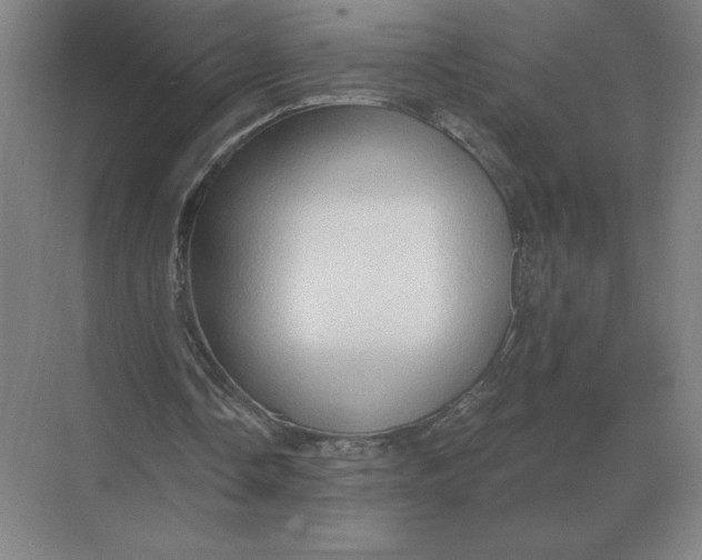 X0000068830338200605191904