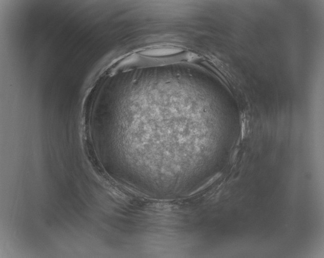 X0000068830339200605191904