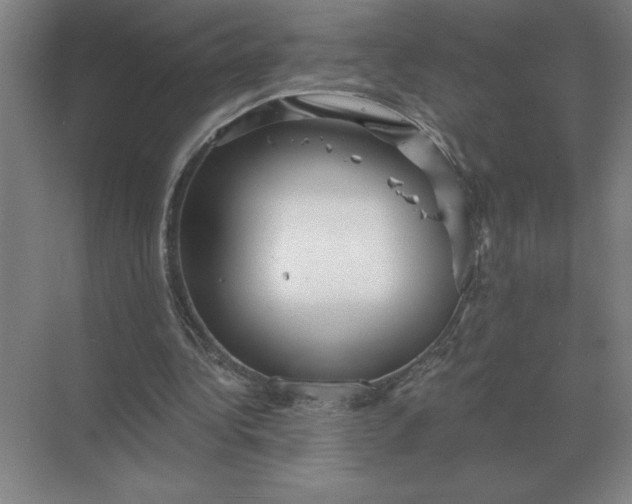 X0000068830340200605191904