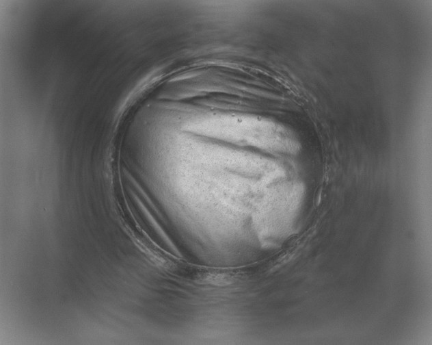 X0000068830341200605191904