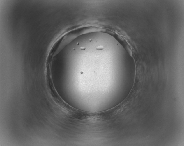 X0000068830344200605191904