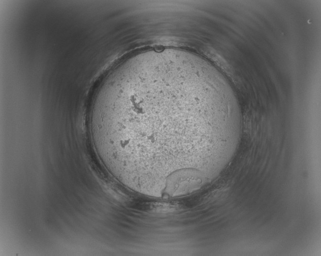 X0000068830347200605191905