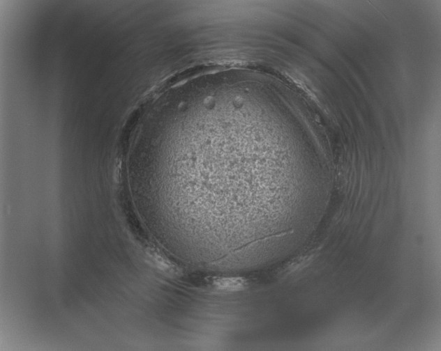 X0000068830355200605191905