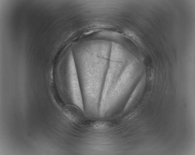 X0000068830358200605191905