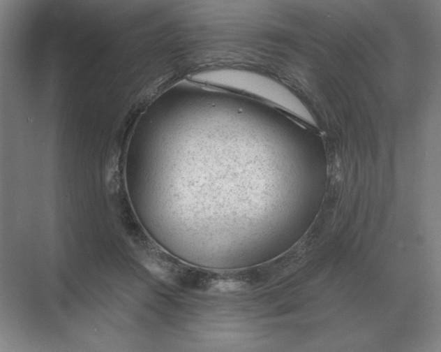 X0000068830360200605191905