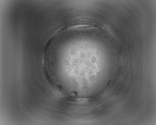 X0000068830363200605191905