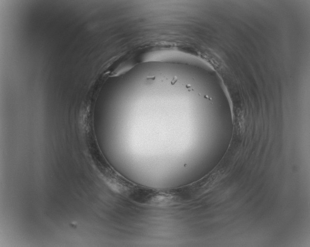 X0000068830364200605191905