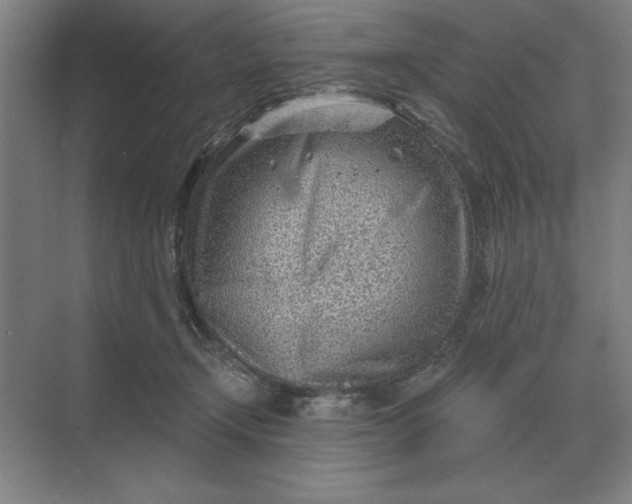 X0000068830366200605191905