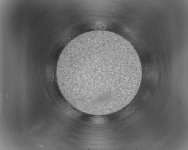 X0000068830370200605191905