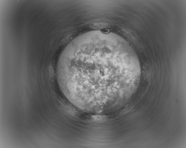 X0000068830371200605191905