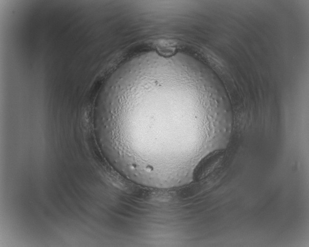 X0000068830373200605191905