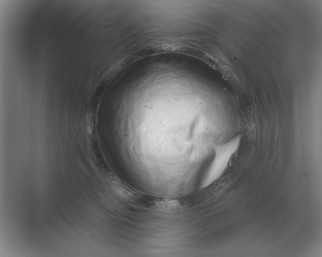 X0000068830374200605191905