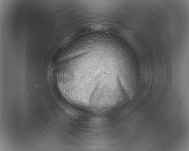 X0000068830375200605191905