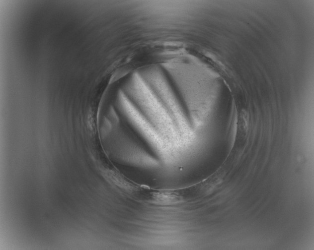 X0000068830380200605191905