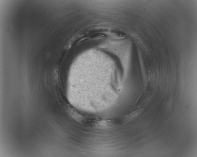 X0000068830382200605191905