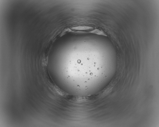 X0000068830384200605191905