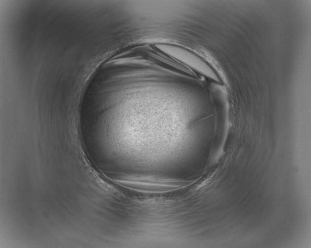 X0000068830385200605191904