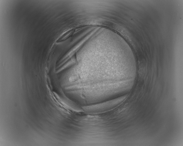 X0000068830386200605191904