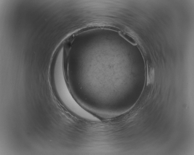 X0000068830387200605191904