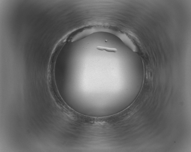 X0000068830388200605191904