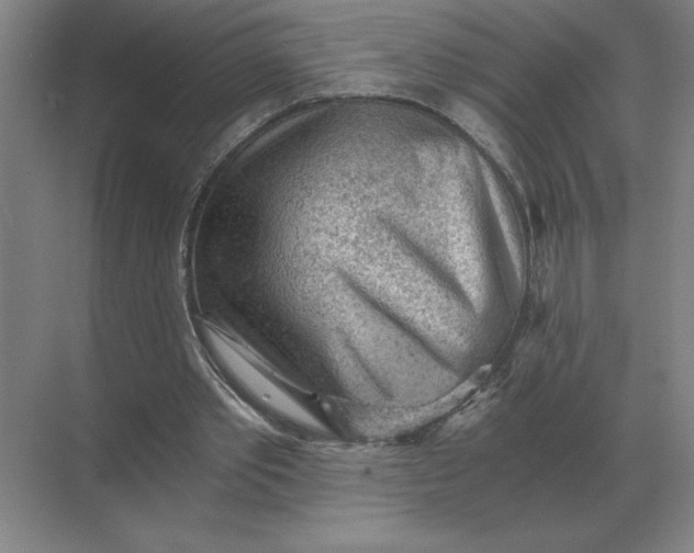 X0000068830389200605191904