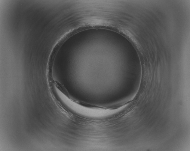 X0000068830391200605191904