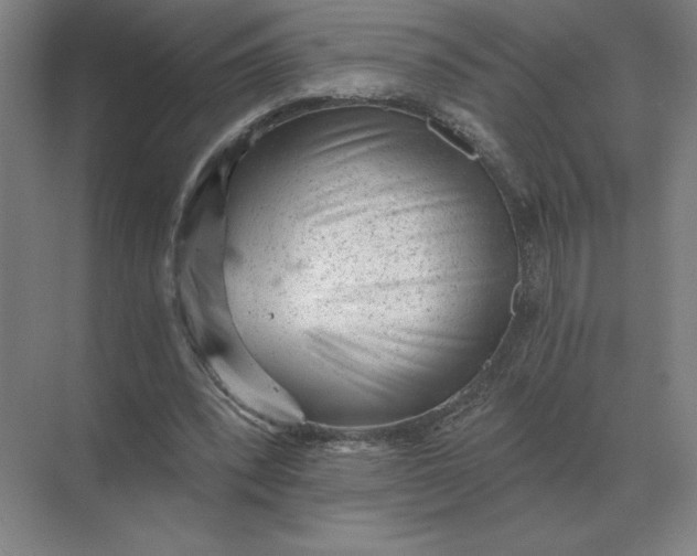 X0000068830392200605191904