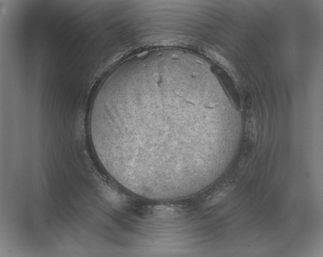 X0000068830394200605191904