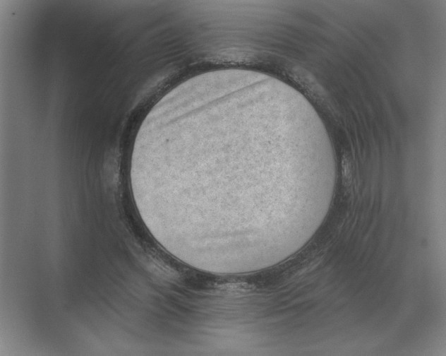 X0000068830396200605191904