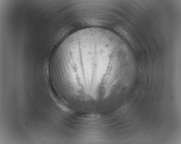 X0000068830398200605191904