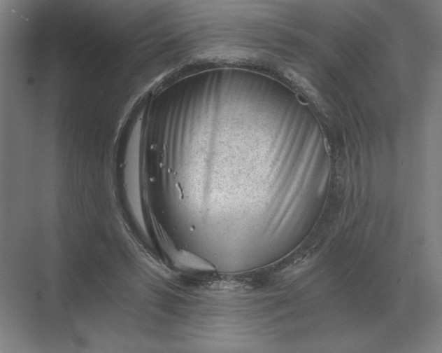 X0000068830399200605191904