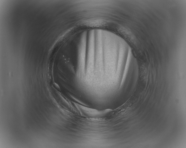 X0000068830400200605191904