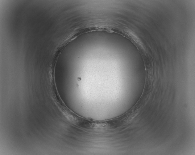 X0000068830401200605191904