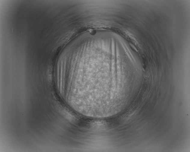 X0000068830402200605191904