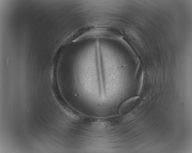 X0000068830404200605191904