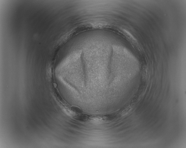 X0000068830405200605191904