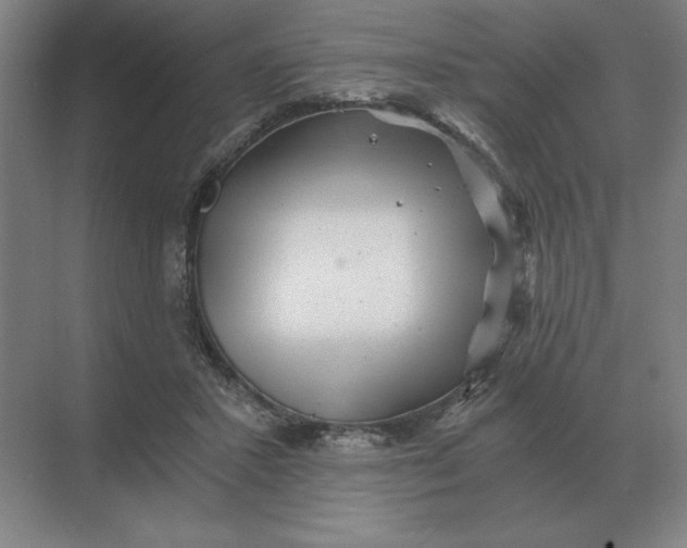 X0000068830407200605191904