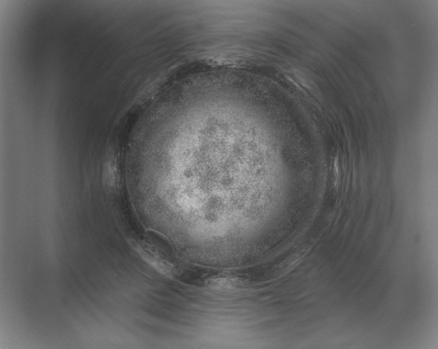 X0000068830408200605191904