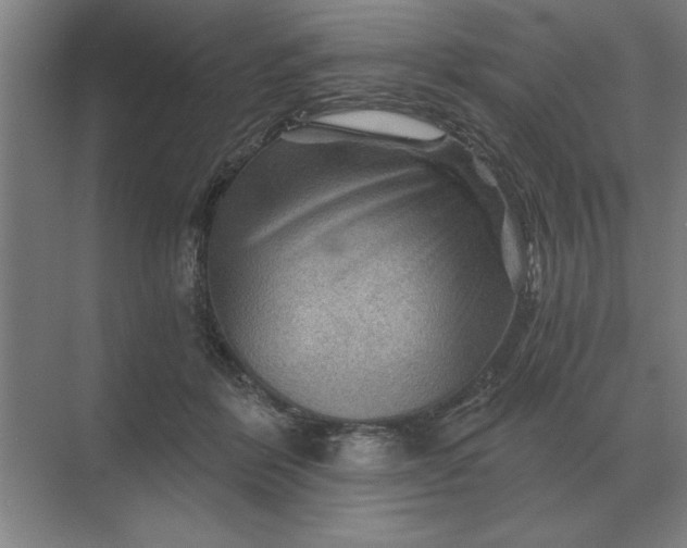 X0000068830412200605191904