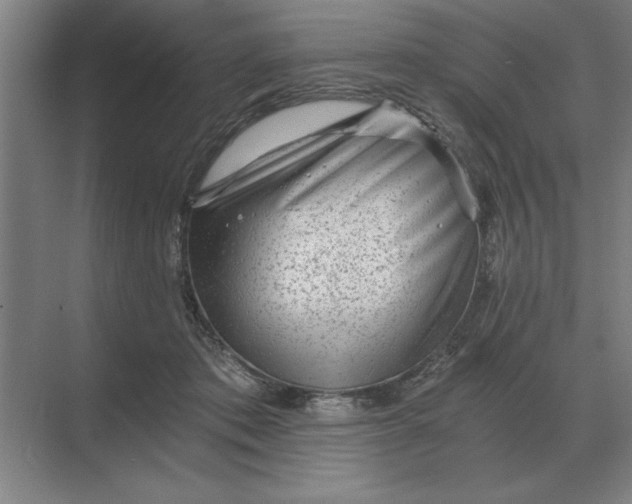 X0000068830413200605191904