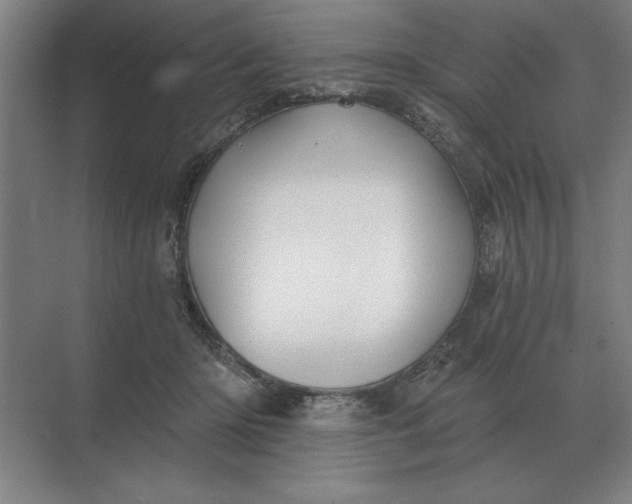 X0000068830414200605191904