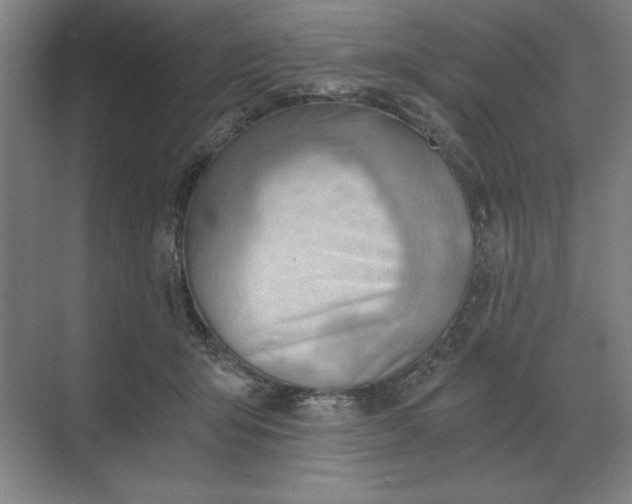 X0000068830415200605191904