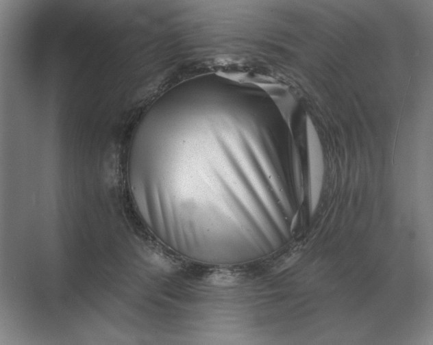 X0000068830416200605191904