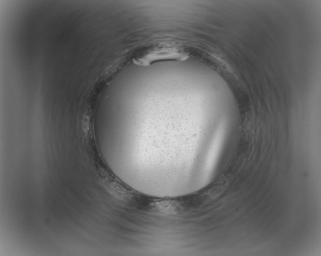 X0000068830417200605191904