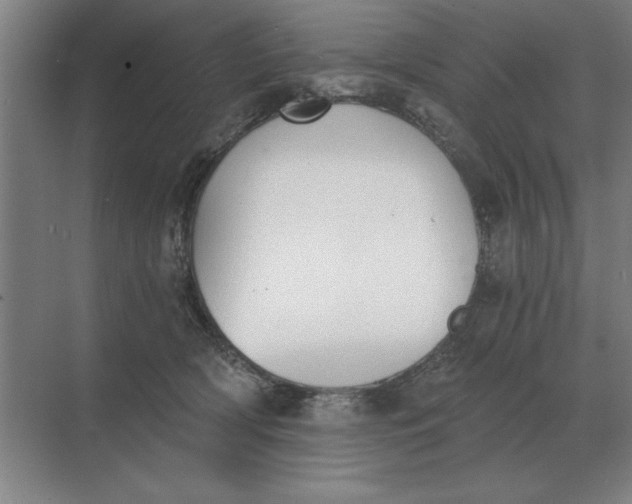 X0000068830418200605191904