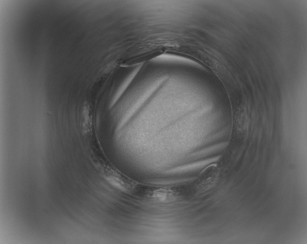 X0000068830420200605191904