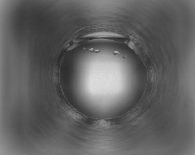 X0000068830421200605191904