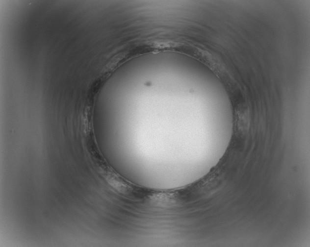 X0000068830422200605191904