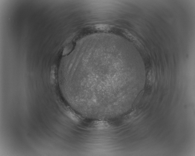 X0000068830424200605191904